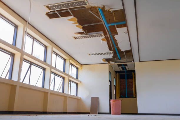 Best Water damage restoration near me  in Grand Saline, TX