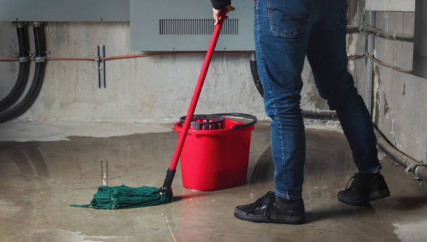 Best Flood damage cleanup  in Grand Saline, TX