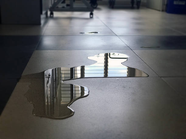Best Water damage restoration experts  in Grand Saline, TX