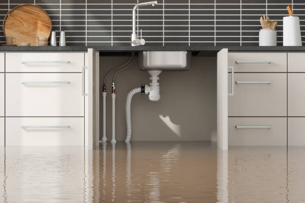 Best Residential water damage restoration  in Grand Saline, TX